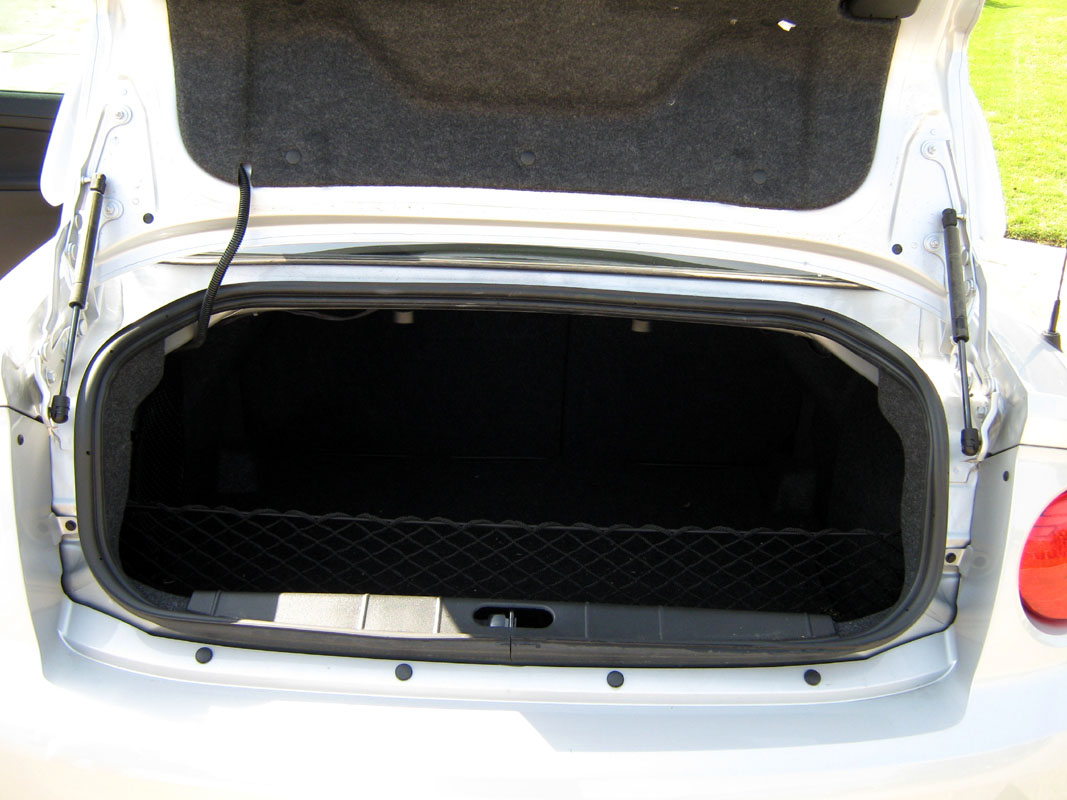 trunk